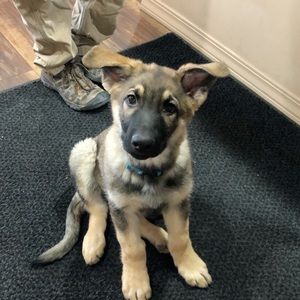 Meet your Posher, Aaron